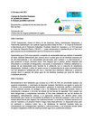 PDF (spanish) of oral statement